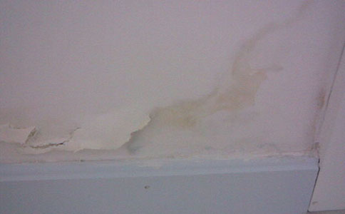 深圳業(yè)主速看！墻面發(fā)霉起皮脫落原因不明？這篇全搞定！